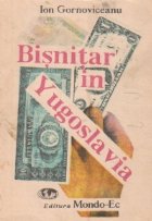 Bisnitar Yugoslavia