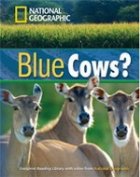 Blue Cows DVD