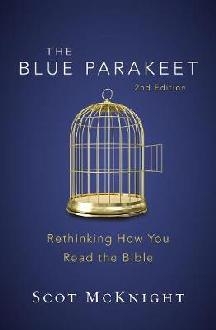 Blue Parakeet, 2nd Edition