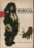 Boreal Bucurie noapte