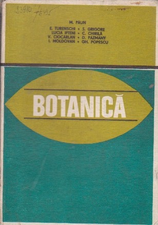 Botanica