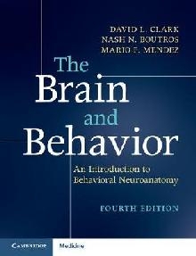 Brain and Behavior