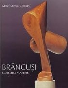 Brancusi Limbajele materiei