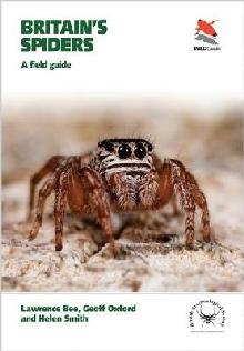 Britain's Spiders