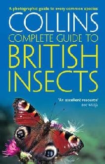 British Insects