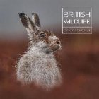 British Wildlife Photography Awards 8