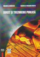 Buget trezorerie publica