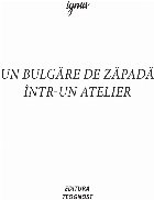 bulgăre zăpadă într atelier