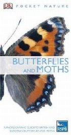 Butterflies and Moths