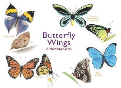 Butterfly Wings:A Matching Game