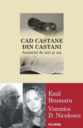 Cad castane din castani. Amintiri de ieri și azi