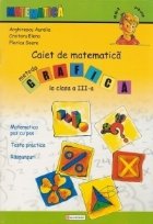Caiet matematica Metoda grafica clasa