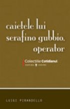 Caietele lui Serafino Gubbio, operator