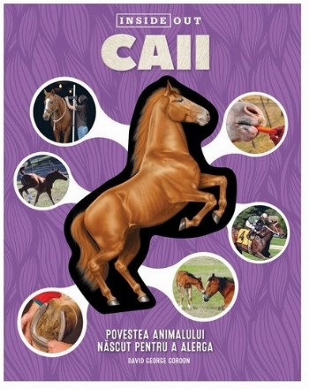 Caii Inside Out - Povestea animalului născut pentru a alerga