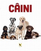 Caini. Animale de companie