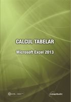 Calcul tabelar Microsoft Excel 2013