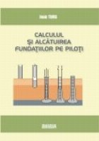 Calculul alcatuirea fundatiilor piloti