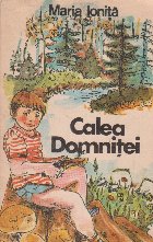 Calea Domnitei