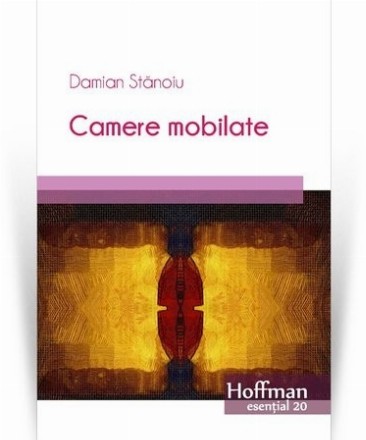 Camere mobilate