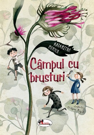 Campul cu brusturi