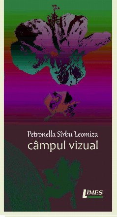 Campul vizual