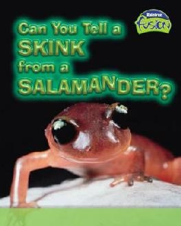 Can You Tell a Skink from a Salamander?