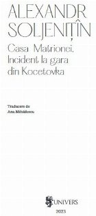 Casa Matrionei Incident gara din