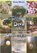 CETATEA DEVA ECOSISTEM SI SIMBOL