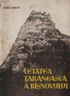 Cetatea taraneasca Risnovului