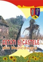 CETATI SI CASTELE DIN HUNEDOARA