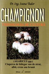 CHAMPIGNON - tehnologia de cultura