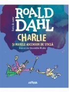 Charlie Marele Ascensor Sticla