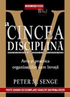 cincea disciplina Arta practica organizatiilor