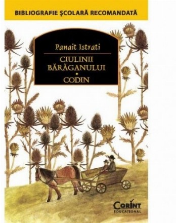 Ciulinii bărăganului. Codin