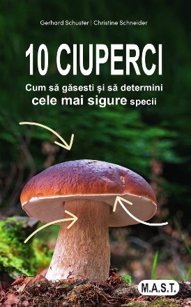 10 ciuperci. Cum sa gasesti si sa determini cele mai sigure specii