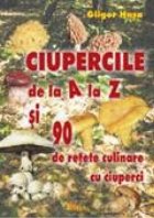 CIUPERCILE RETETE CULINARE CIUPERCI