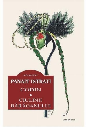 Codin. Ciulinii Baraganului