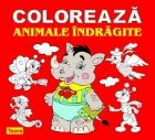 Coloreaza animale indragite