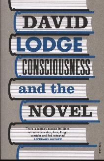 Consciousness And The Novel