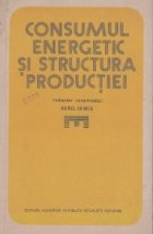 Consumul energetic structura productiei