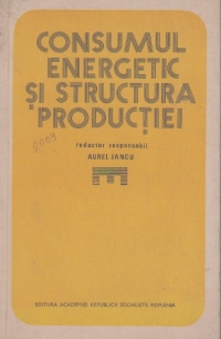 Consumul energetic si structura productiei