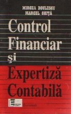 Control financiar Expertiza contabila