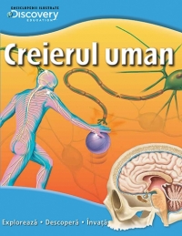 Creierul uman