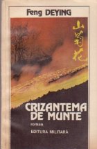 Crizantema de munte