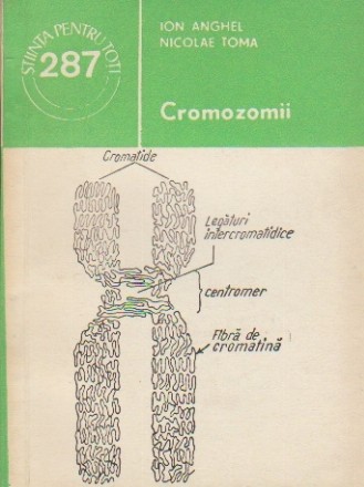 Cromozomii