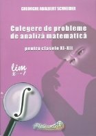 Culegere probleme analiza matematica pentru