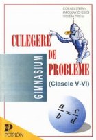 Culegere probleme (clasele VI)