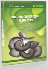 Cultura ciupercilor Pleurotus