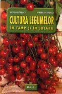 Cultura legumelor in camp si solarii