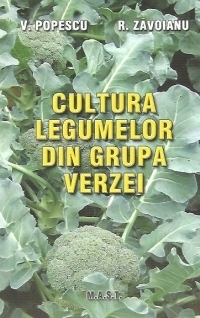 Cultura legumelor din grupa verzei